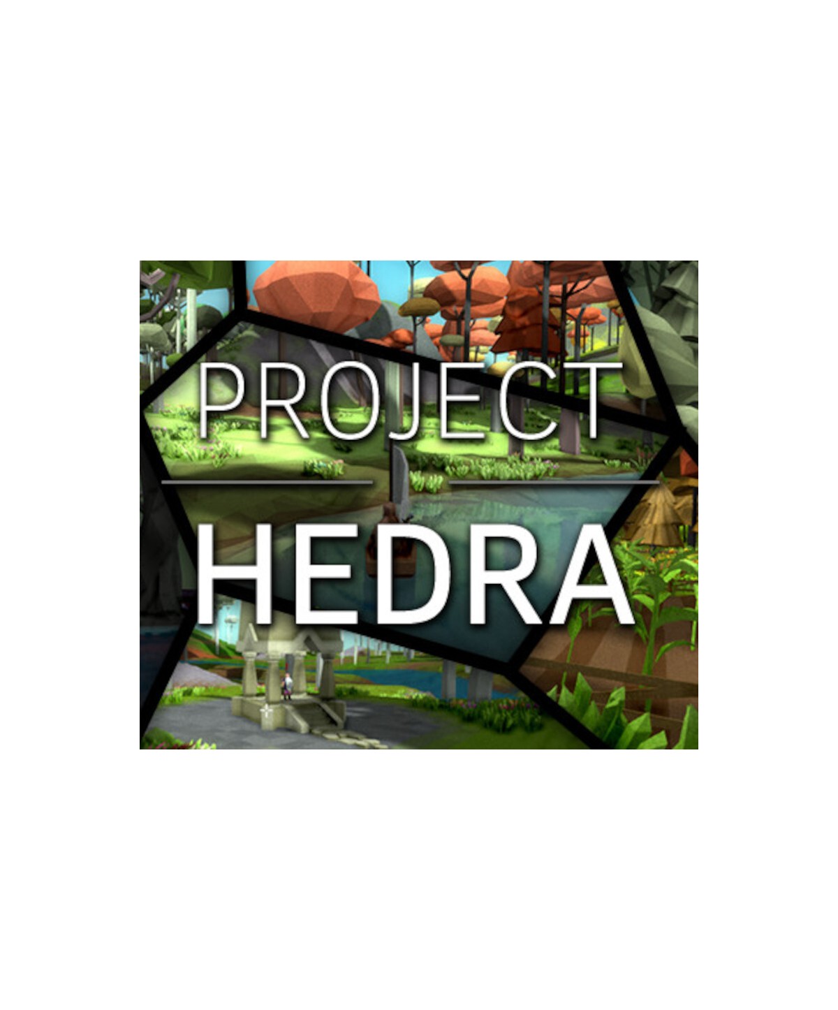 Project Hedra Steam Key GLOBAL